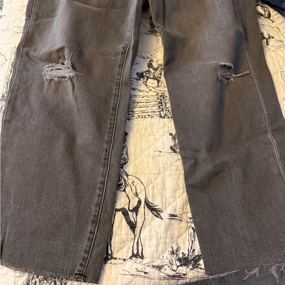 Express Gray Straight Ankle Jeans